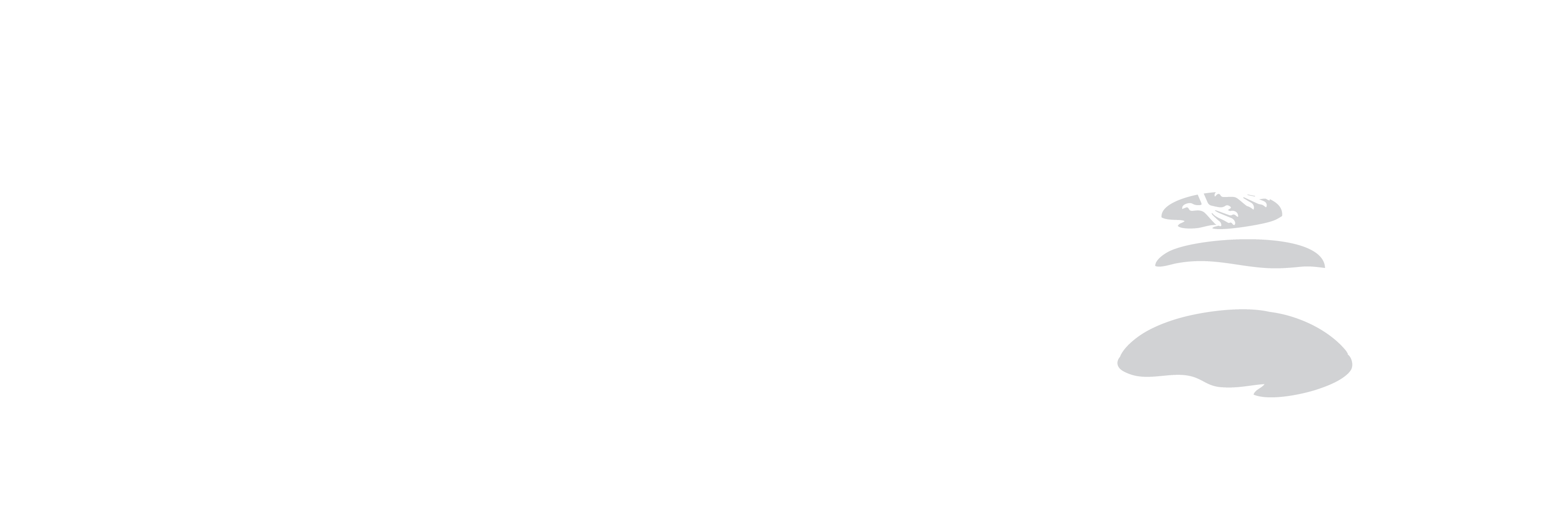 pebbleCrow